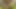 Und dann wir zwei im Wald allein