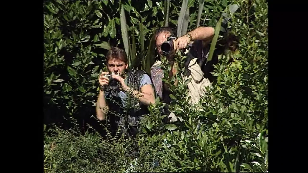 Cuộc diễu hành đít 3 (phim đầy đủ)