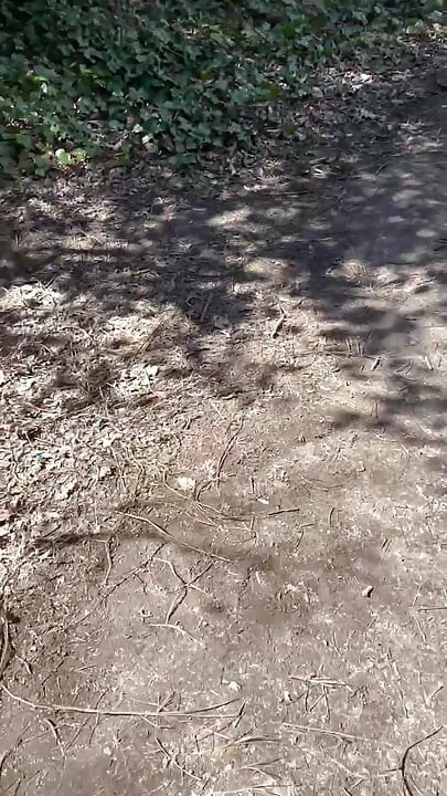 Looking around in the park, found that hungry married man looking for dick.