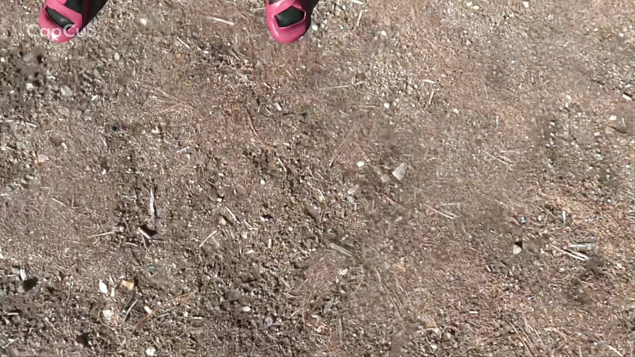 ענקיות אוכלות
