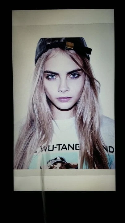 Cara Delevinge Tribute 3