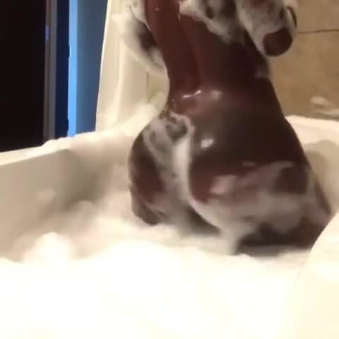 Twerking in the Tub