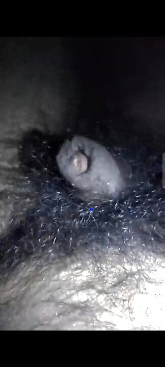 My dick is hungry for pussy