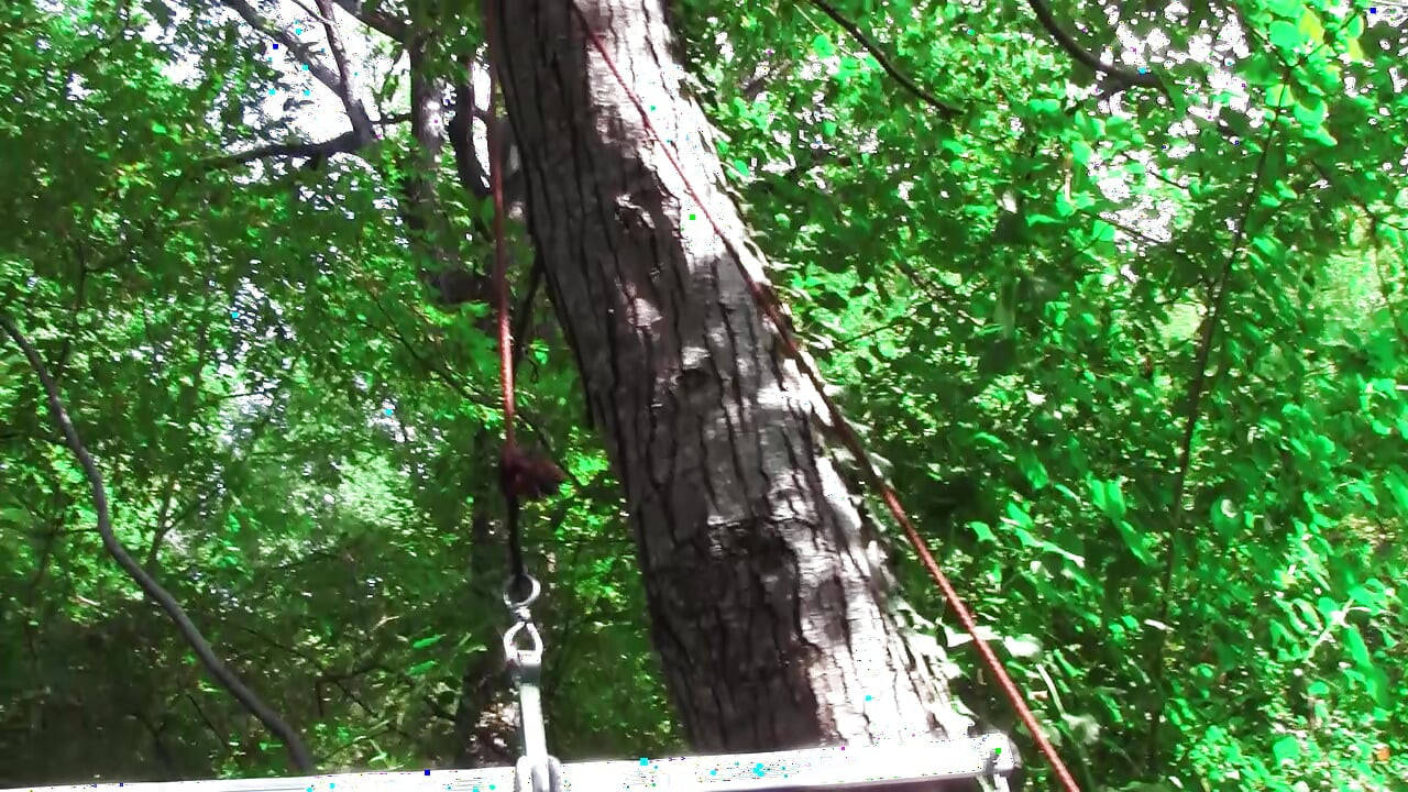 Young sadist whips an old pig tied up in the woods