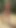 Nudist Couple Fucks and Does Cum Walk