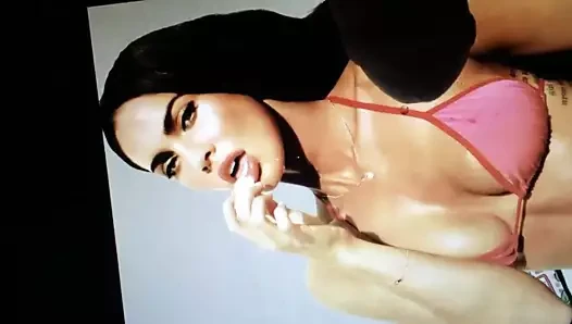 Megan tilki haraç