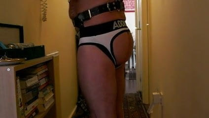 harness