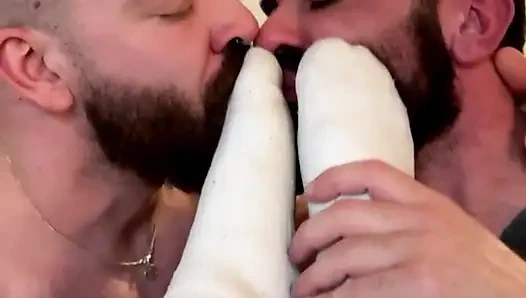 Three Pigs Sniffing Each Other's Stink. Feet, Pits, Balls.