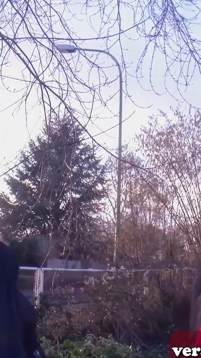 German blonde housewife approached on the street for sex | Clip 1