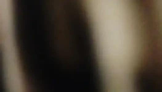 She loves sucking and fucking bbc