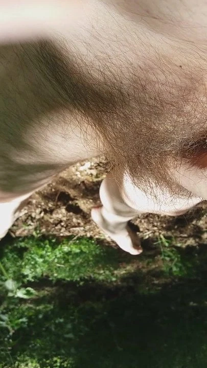 Forest Wank