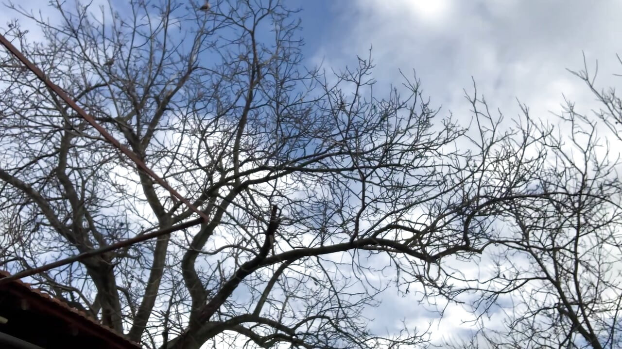 大きな胸にぴったりの日だ