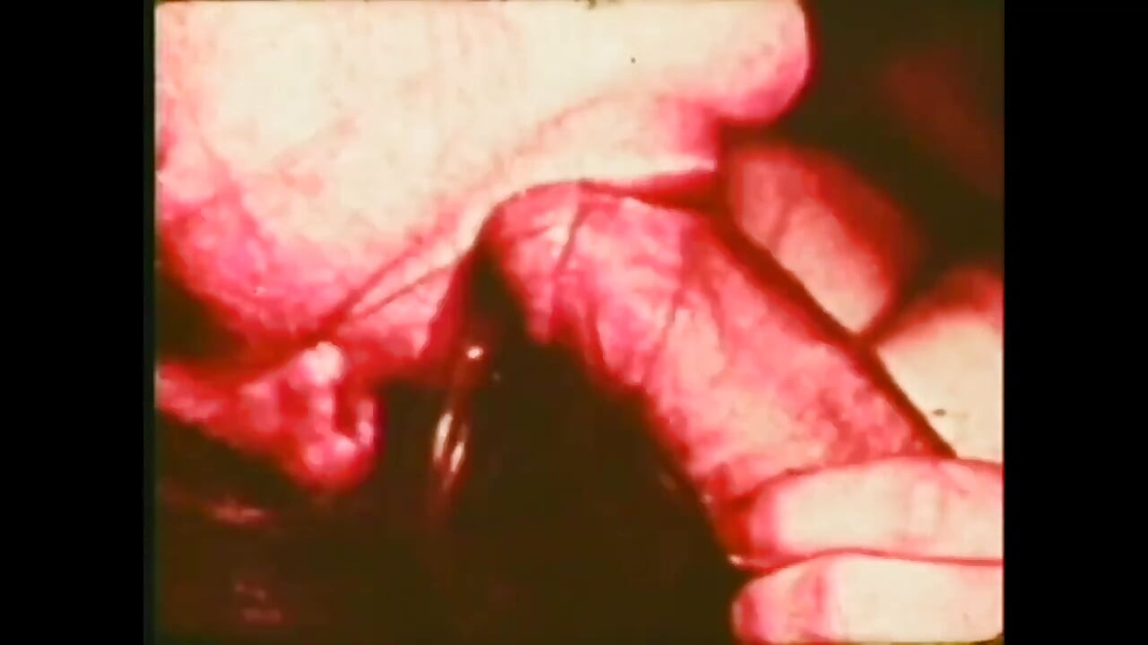 The Dirty Pig Prostitute