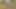 Almost busted outdoor naked fuck by the forest under the sun