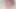 Can I be the first tgirl cock you suck?