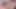 このメイドは掃除が苦手だ。でも、どうやって同時に二つのチンコを受け入れるんだ?DP