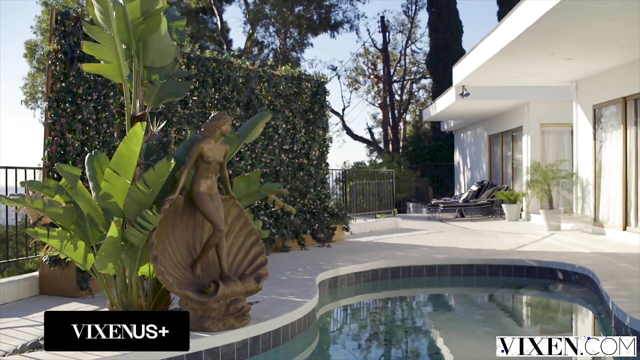 Zorra, ella ama a los hombres casados