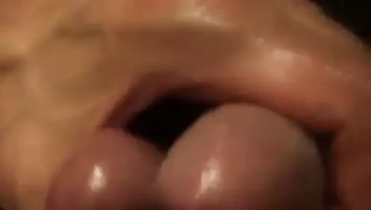 penis
