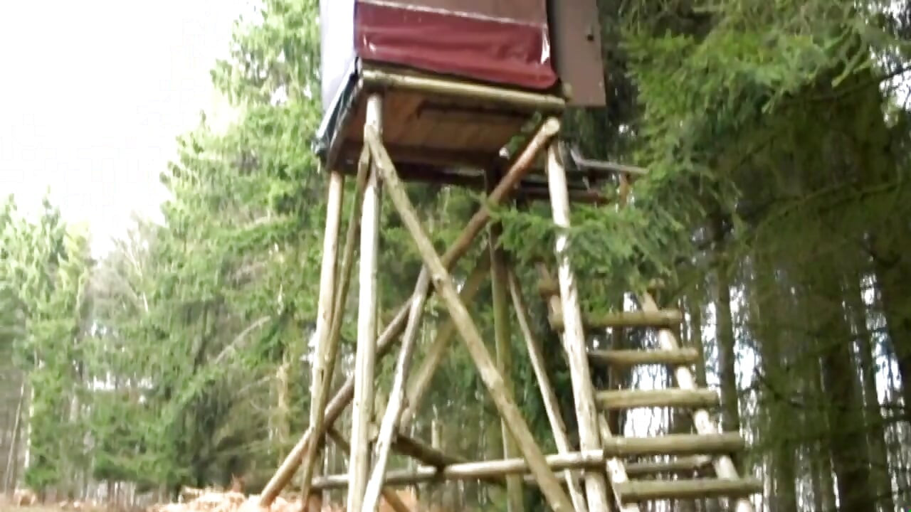 Head forester #02 - Full movie