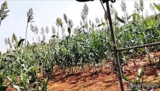 Une adolescente du village se fait baiser par une bite de 9 pouces dans la jungle