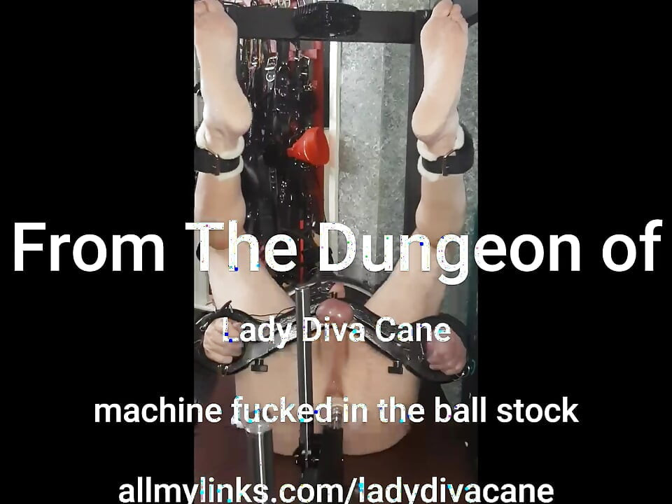 Male Slave Machine Fucked in The Ball Stock with Electro Cock Shocks