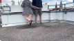 Pratonton Video