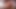 アス・ホームレッカー - 女神ロージー・リードが女神のアスを比較して妻を辱める - エボニー・ホームレッカー-1080p HD