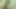 Video ön izlemesi