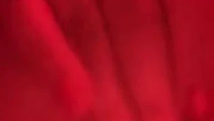 Киска