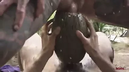 juntos como amigos