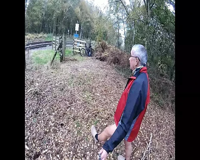 Woods