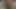 がつがつ