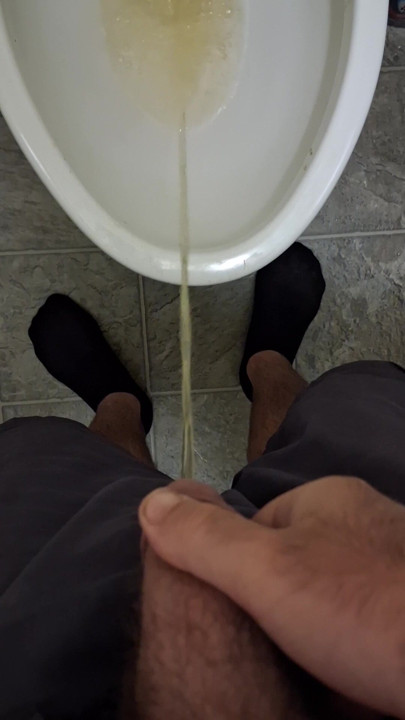 Morning Shelter Piss