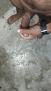 Pratinjau video