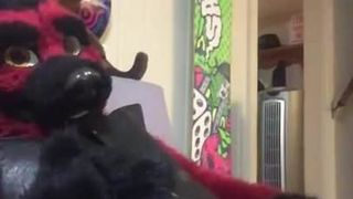 Masturbação com fursuit de couro 2