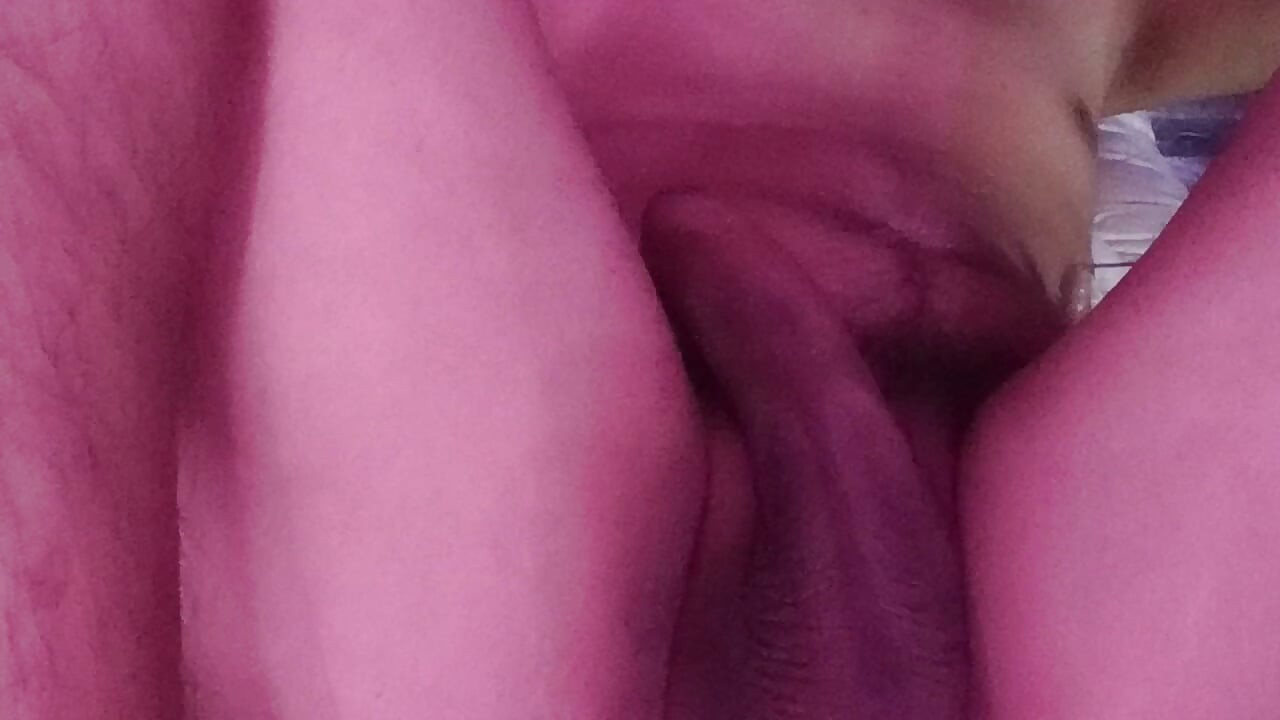 Warm My Milk Day 1659