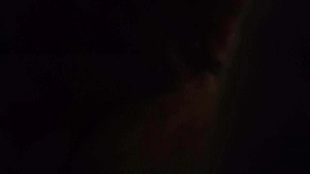 Big cock fucking teddy 2