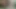 Japon bdsm baş aşağı asılı köle