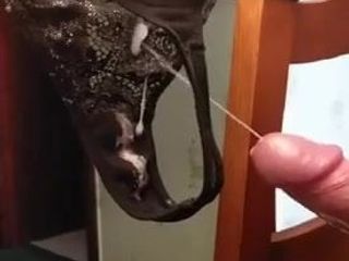 Sperma vuile string panty aftrekken vriendin cumshot