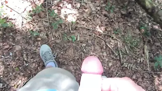 Im Wald ausgepackt