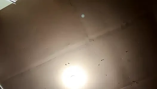 Трансляция началась на 18.02.2024 08:43 Я надеюсь, что вы поймали эту