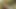 Sunbathing Outdoors leads to Oiled Massage & that turns into Big Black Cock BBC Riding for this Black Girl with Creampie