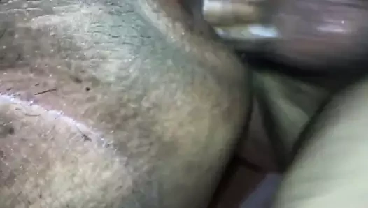 lanet şişman komşu 2