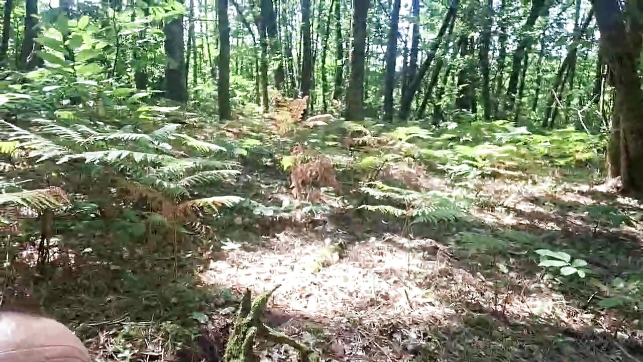 An hour of jerking in the middle of the forest, remi06cam4