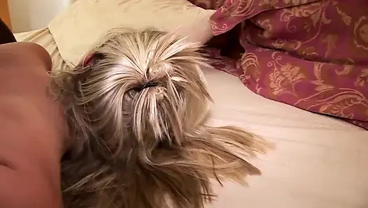 Cowok berotot ngentot memek cewek nakal rambut pirang dan rambut cokelat sampai dicrot di dalam!