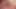 Shaving Chroniclas Part 1 Preview