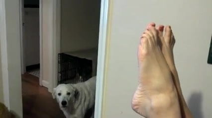 Sexy feet