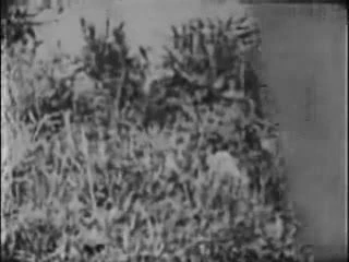 Retro Porn Archive - hard024