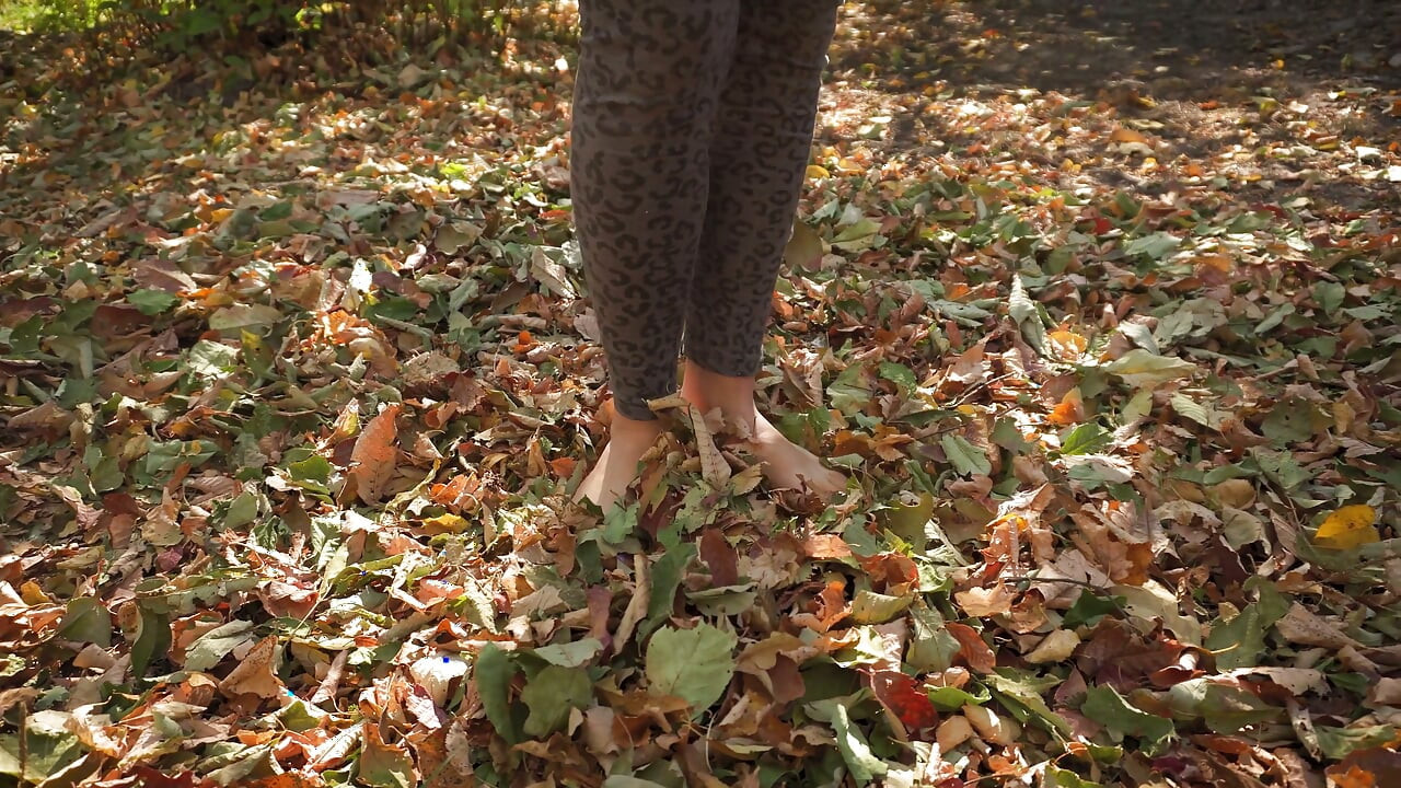 Leaves Crunching Underfoot Asmr