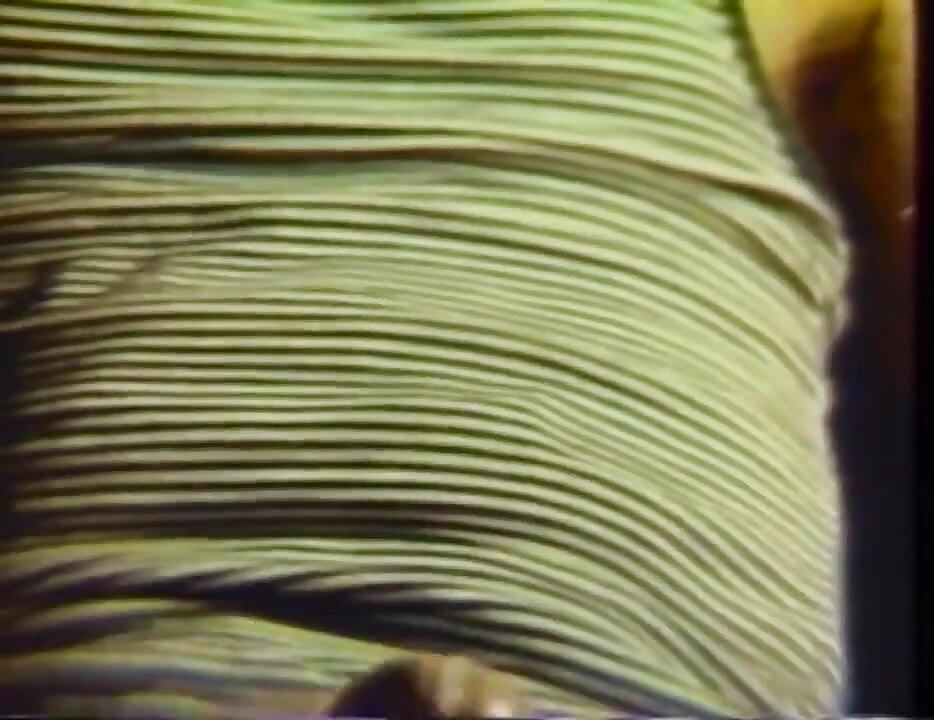 Ασπρόμαυρο γλείψιμο μουνιού στην κρεβατοκάμαρα